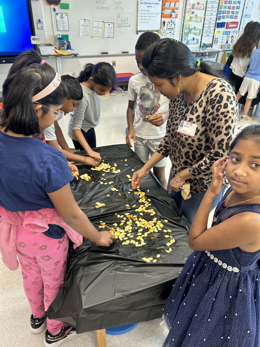 Lisa Cioffi tweet media