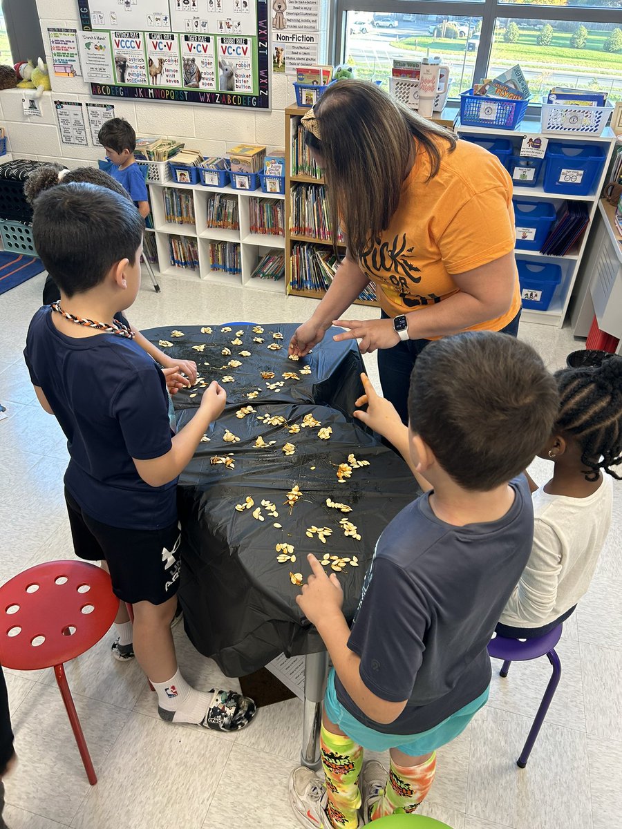 Lisa Cioffi tweet media