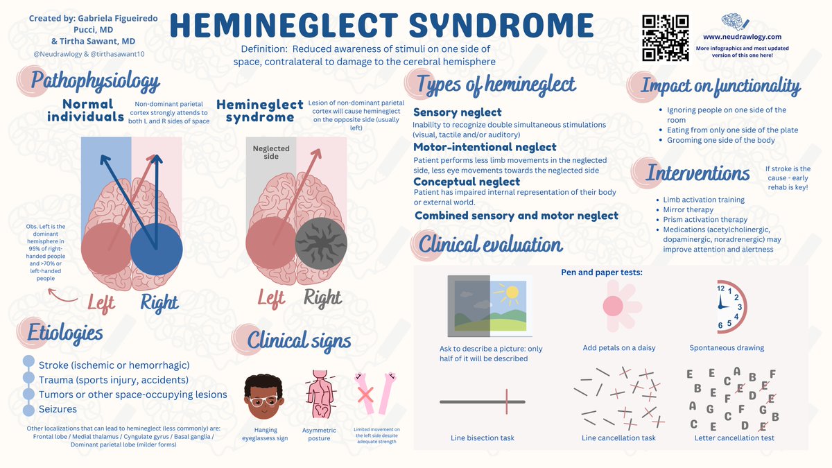 Hello, #NeuroTwitter! 
Are you ready to learn about hemineglect? 🧠🎨

Thank you @tirthasawant10 for collaborating to create this new infographic!

#FOAMed #MedEd #Neurology #EndNeurophobia

Check the website to see all the infographics ➡️neudrawlogy.com