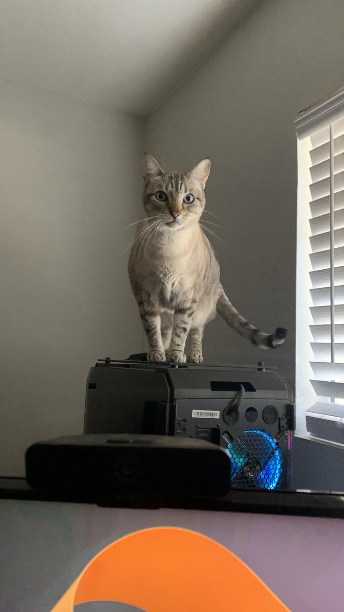 Homemade Ahi tuna poke bowls cooking stream 
twitch.tv/joseruno