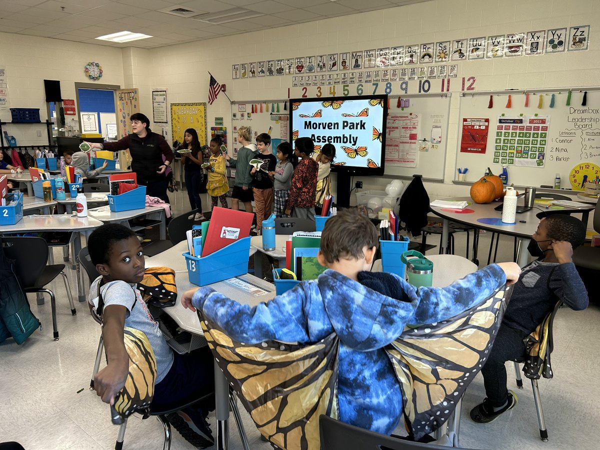 Lisa Cioffi tweet media