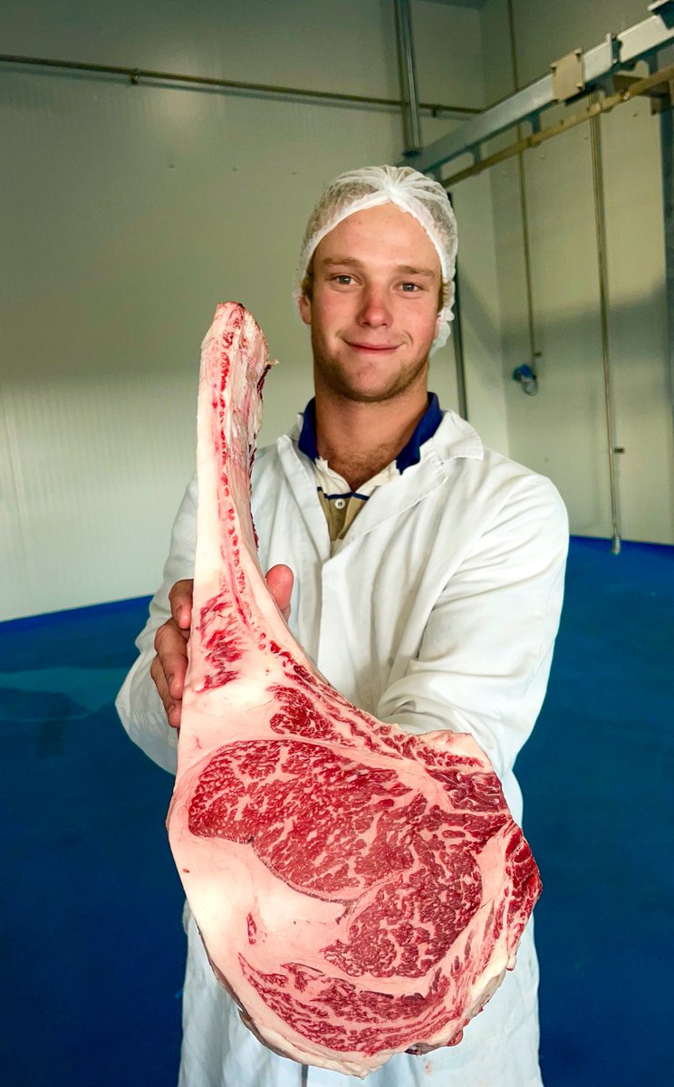 Josie Angus tweet media