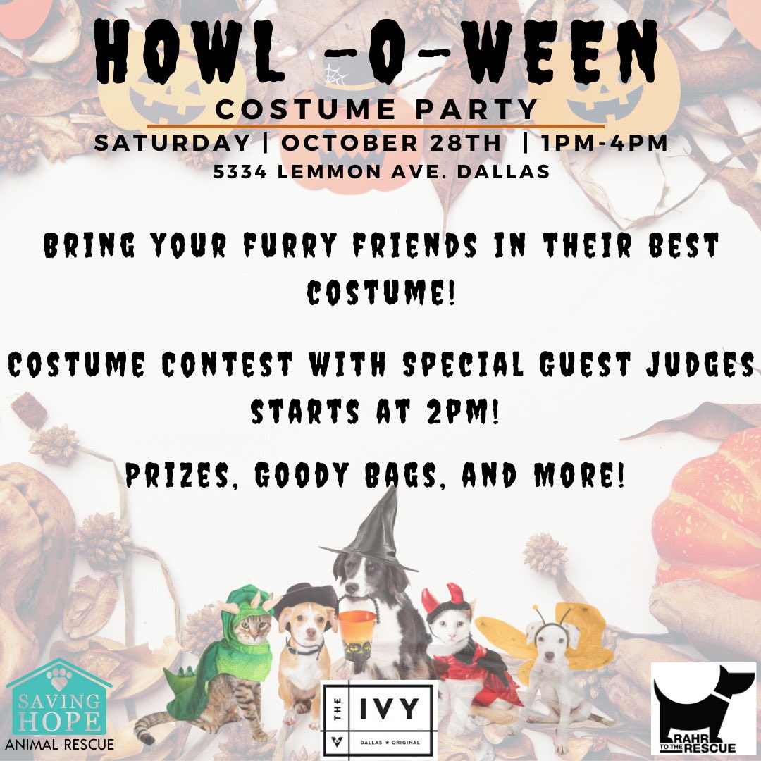 A Halloween party for a great cause? Sign me up! See you on Saturday 1-4 pm at The Ivy- 5334 Lemmon Ave. Dallas 👻🎃🐶 #Halloween #Dallas