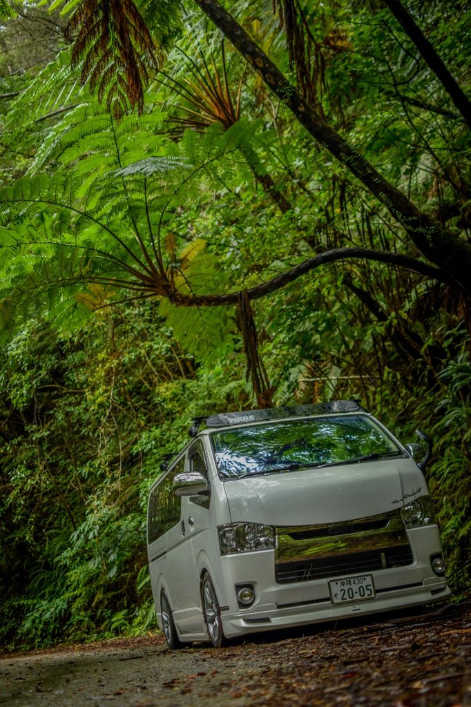 #沖縄 #Okinawa
#やんばる #世界自然遺産 
#やんばる国立公園
#wハイエース #HIACE
#toyotahiace #hiace200 #toyotagram
#これを見た人は愛車の背景が木の画像を貼れ
