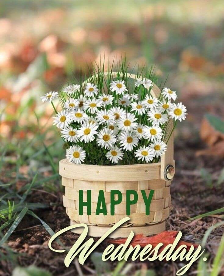 To all my friends
