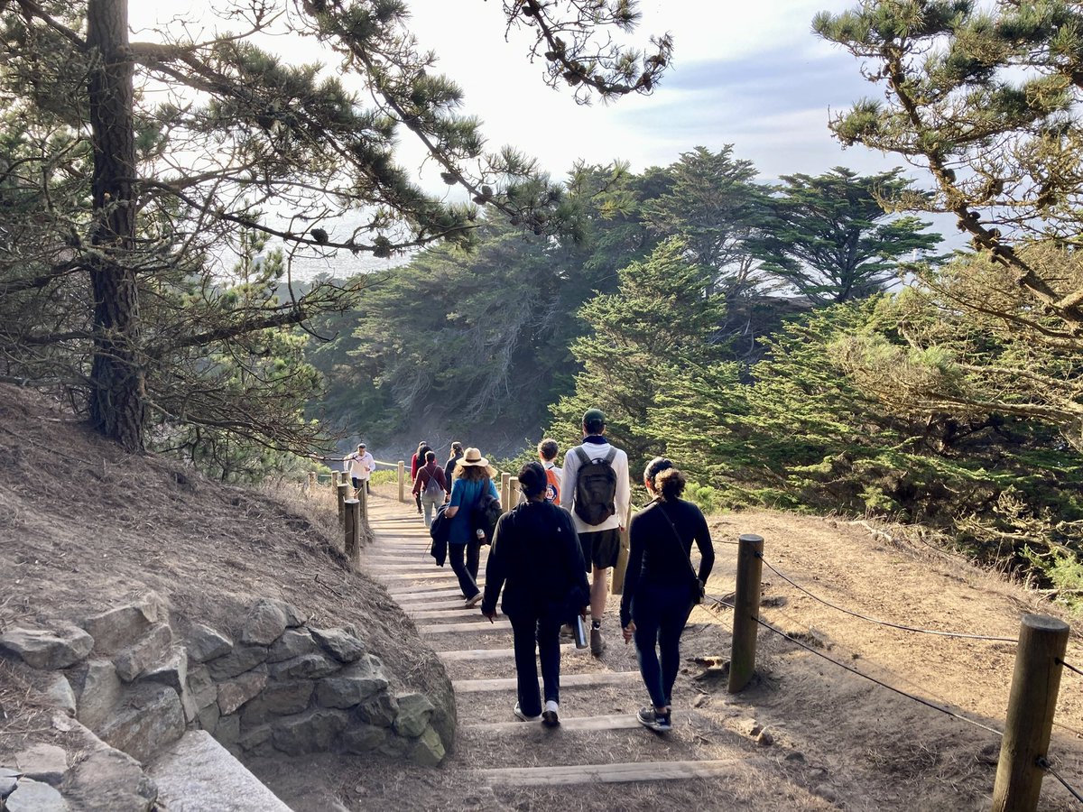 peterhartlaub's tweet photo. Scenes from last year’s #AllOutSF hike 🌁⬇️

Free this Sunday? The Crosstown Trail will bring you joy and change your perspectives of San Francisco.

@hknightsf and I are you hosts for the last leg of the trail. Please join us!

https://t.co/XmFZmBtpCZ https://t.co/YUlO8oHY4P