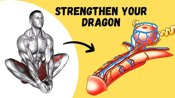 WealthMail's tweet image. Top 5 Kegel Exercises | Pelvic Floor | Exercise for Men | Strengthen Your Dragon