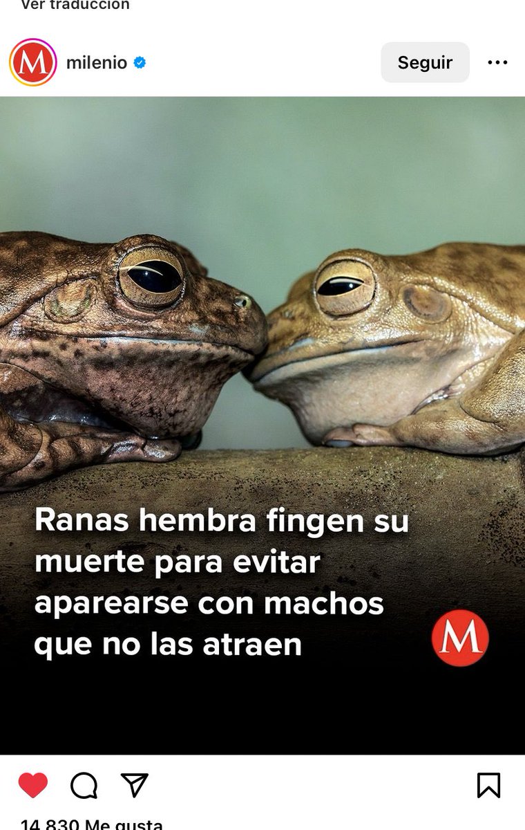 Same la verdad