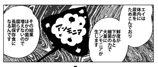 『桐谷さんちょっそれ食うんすか!?』最新16巻発売中です。収録レシピ②「エイのかすべ定食」。北海の味覚「かすべ」ことエイをおいしくいただく!さらに驚愕の激臭料理も…!?💭💭💭Amazonはこちら→ #漫画アクション #桐谷さん #グルメ漫画