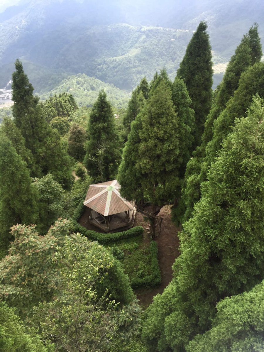 Glory Peak in Pfutsero town, Nagaland, is a place of serene beauty and breathtaking vistas.

Located at a considerable altitude, it offers a panoramic view of the surrounding hills and valleys, blanketed in lush greenery. The journey to the peak is as enchanting as the…