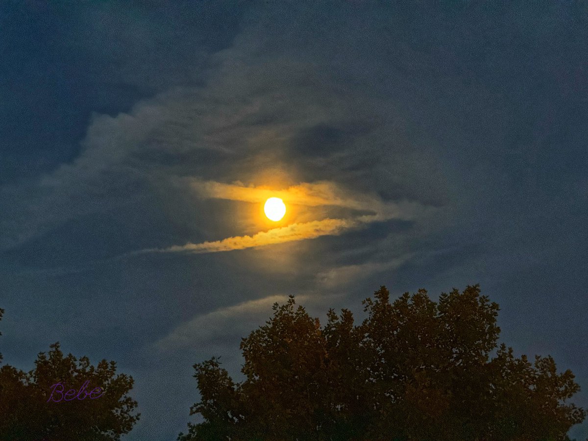 Almost full, Hunter’s moon  rising over Winchester, Virginia 🌙🫶🏻
#moon #moonrising #fog #vawx #virginia #travel #roadtrip #StormHour #huntersmoon #TwitterNatureCommunity