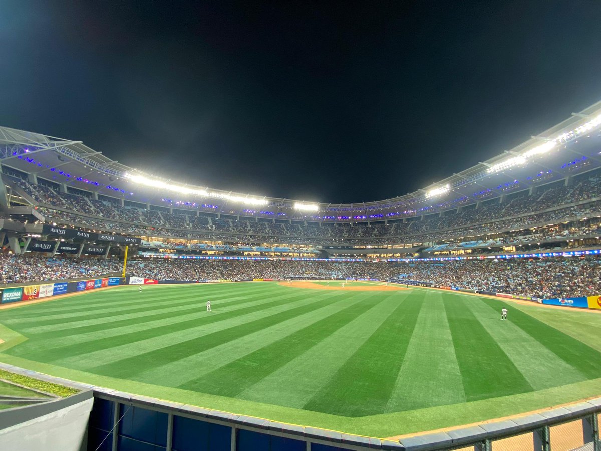 Leones del Caracas tweet media