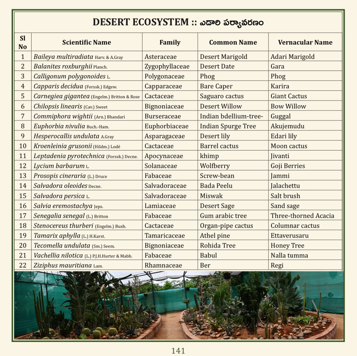 (56/75) DESERT ECOSYSTEM
<a href="/TSFDCL/">Telangana Forest Development Corporation Ltd</a>
<a href="/HarithaHaram/">Telangana Forest Dept.</a>
<a href="/FCRIHyderabad/">FCRI Hyd Telangana</a>
<a href="/TelanganaCMO/">Telangana CMO</a>
<a href="/PMOIndia/">PMO India</a>
<a href="/bsi_moefcc/">Botanical Survey of India</a>
<a href="/bgci/">Botanic Gardens Conservation International</a>
<a href="/UNBiodiversity/">UN Biodiversity</a>
<a href="/FAOclimate/">FAO Climate Change & Biodiversity</a>
<a href="/UNEP/">UN Environment Programme</a>
<a href="/RoyalBotanical/">Royal Botanical</a>
<a href="/IcfreIndia/">Indian Council of Forestry Research and Education</a>
<a href="/RoyalBotanical/">Royal Botanical</a>
<a href="/TreesforCities/">Trees for Cities</a>