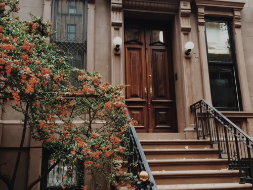 Spellbound by the deep brown door and its romantic embrace of autumn blooms. 💕🍂

#DoorwayCharm #FallFlorals #AutumnLove #SeasonalDecor #AutumnGlow #RusticCharm #Entryway  #NatureInspiration #HomeSweetHome