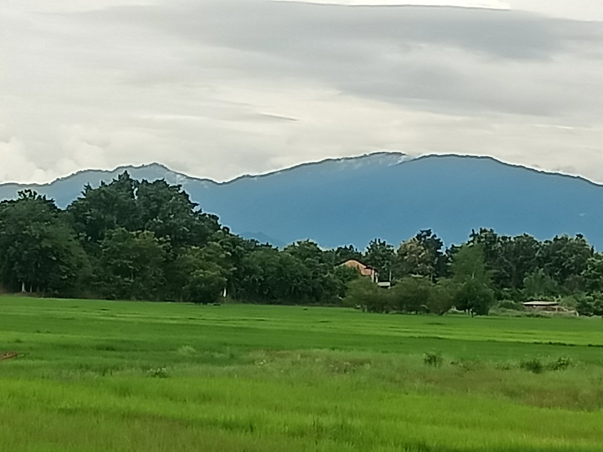 w_sutthiphong's tweet photo. สวยงามมากกกก https://t.co/fga2GfkIHO
