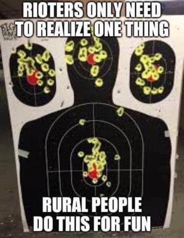 QueenAnticommie's tweet image. Fact or fiction ? 
#rioters #guns #rioterSAFETY