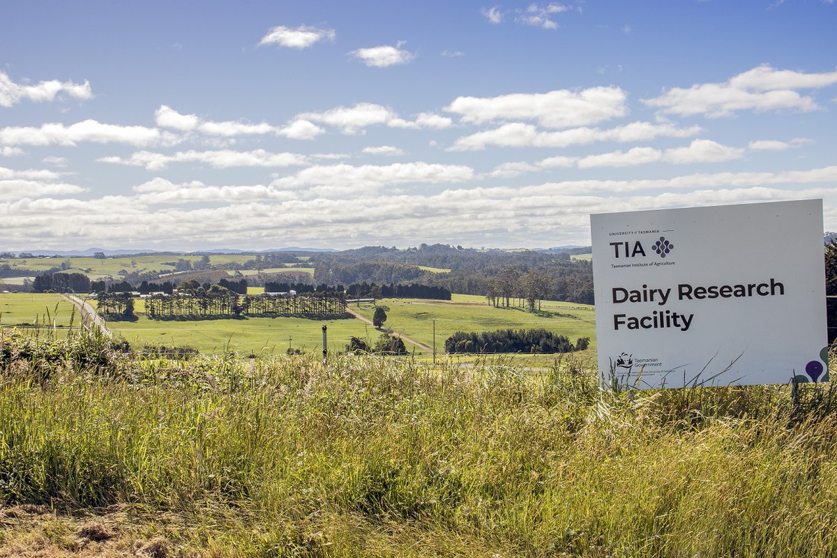 TasInAg's tweet photo. Are you our next Dairy Research Farm Manager?
We are looking for the right person to manage the day-to-day operations of the farm and supervise staff.
Just imagine, this could be your view every Friday!
Apply: https://t.co/R8LkfuxfSO
#FridayintheField #AgCareers https://t.co/USusBOWDqw
