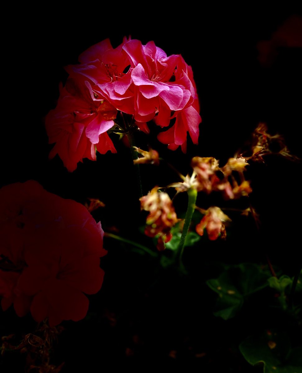 educationtr's tweet image. #October27🌍