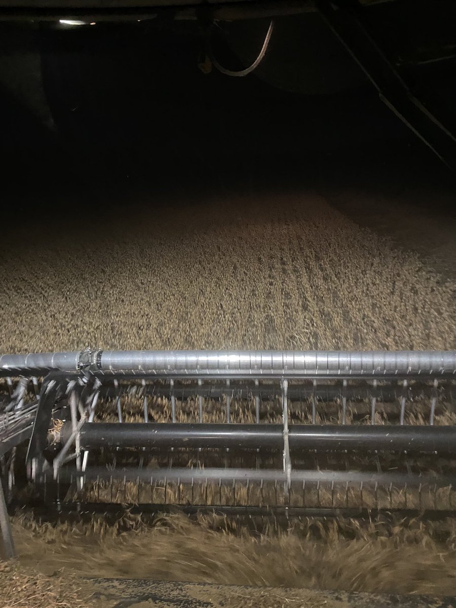 13.7 and lots of wind. First all nighter of harvest