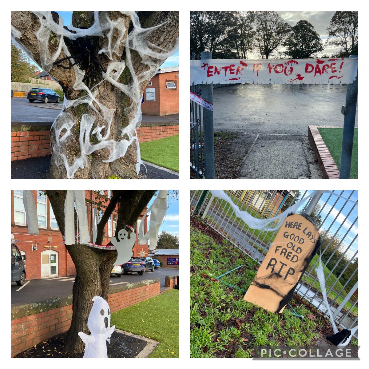 Diolch i Gyfeillion Curig am eu gwaith yn trefnu’r daith cerdded Calan Gaeaf heddi!
Thank to Friends of Sant Curig for arranging the Halloween walk today! #TeuluCurig 💜