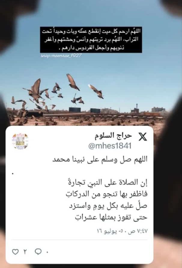 🇸🇦#حراج_السلوم_ابوصالح (@hawamer777) on Twitter photo 