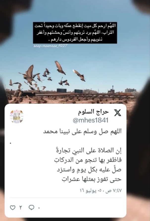 موسوعة الابل العربية🇸🇦 (@camelm777) on Twitter photo 