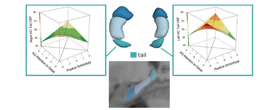 Exciting new paper collaborating with Igor Nenadic, <a href="/AhmadAbuakel/">Ahmad Abu-Akel</a>, <a href="/ti_emm/">Dr. Tina Meller</a> et al. 

Hippocampal subfield volume and CBF are linked to an interaction of schizotypy traits with autism traits in a large sample of healthy subjects.

doi.org/10.1038/s41380…
 <a href="/molpsychiatry/">molecularpsychiatry</a>