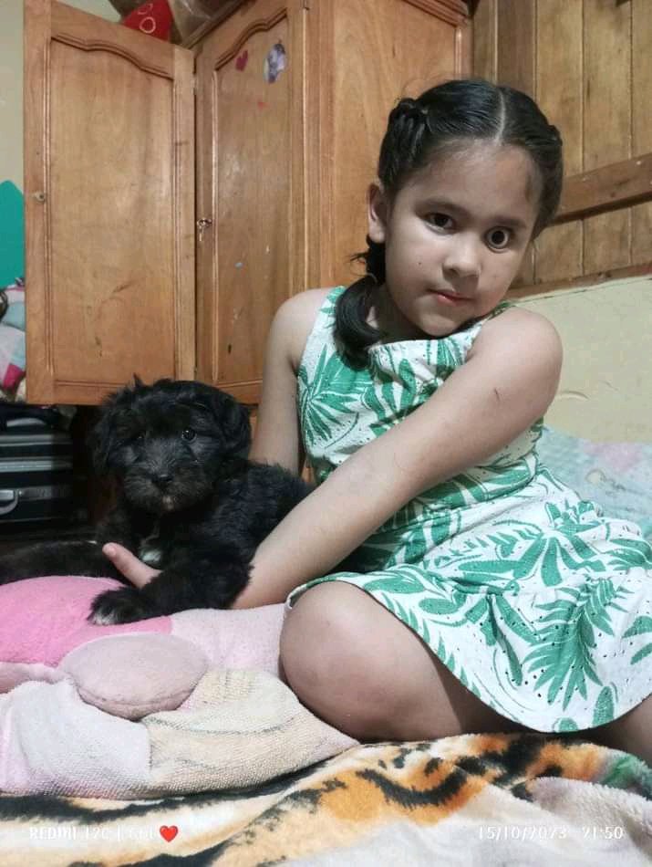 SolAracelyCant1's tweet photo. Mañana es el día que debo  de cubrir los 2.500.000 para la prótesis de thais, estoy a un día y lastimosamente no junte mas que 38 mil guaraní en es, thais ya debe de cambiar su prótesis porque le deja muy abierto el ójito, xfavor alguien de buen corazón que nos ayude 😭😭 https://t.co/QITbhqAjx6