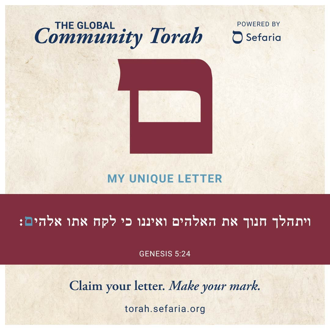 Estie Music tweet media