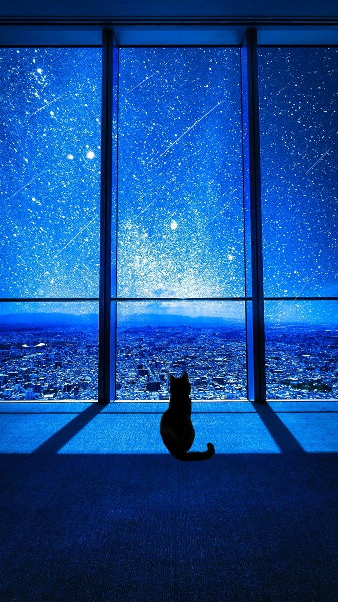 Sorani___Ao's tweet photo. 泣きたい私は猫をかぶる。 https://t.co/FhsVQwXiAP