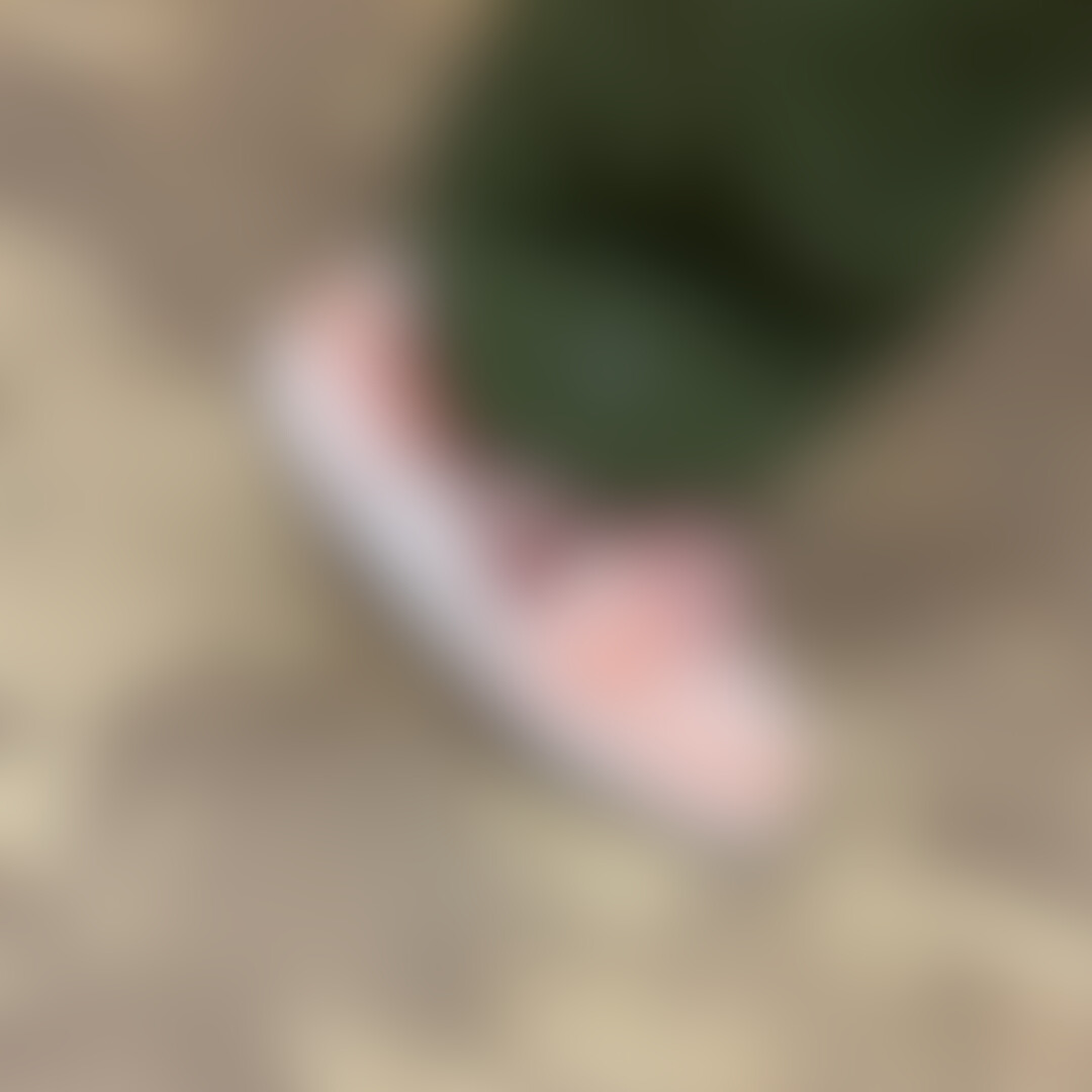 Wethenew tweet media