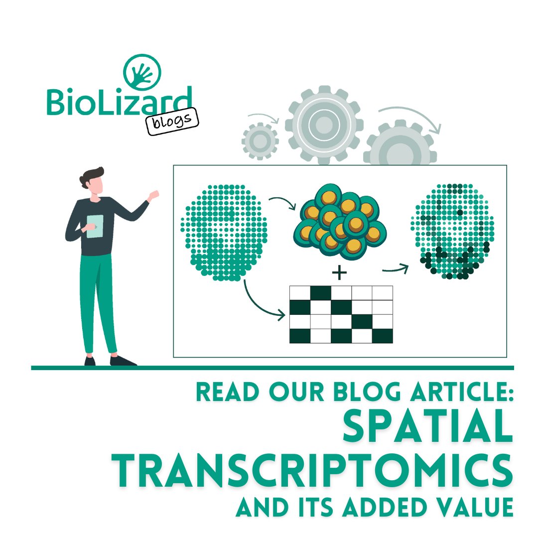 Did you know that #SpatialTranscriptomics allows for identification of hundreds or even thousands of genes - including their spatial location?
📖 Learn more about this #technology in our latest blog written by in-house expert Dr. <a href="/slava_mylka/">Viacheslav Mylka 🇺🇦</a> 👉 eu1.hubs.ly/H05YJ4h0
#omics