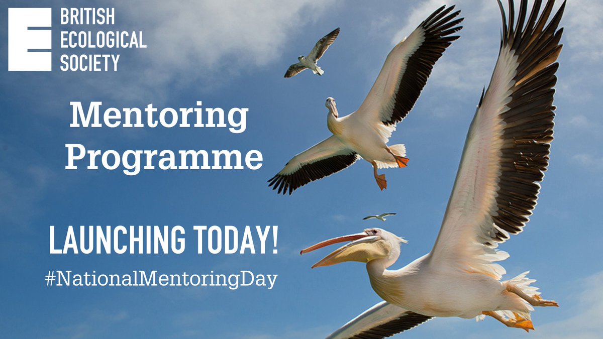 📅Today is #NationalMentoringDay! To celebrate the wonderful benefits of mentoring, we are proud to announce the full launch of our new Mentoring Platform! 💡 (1/4)
