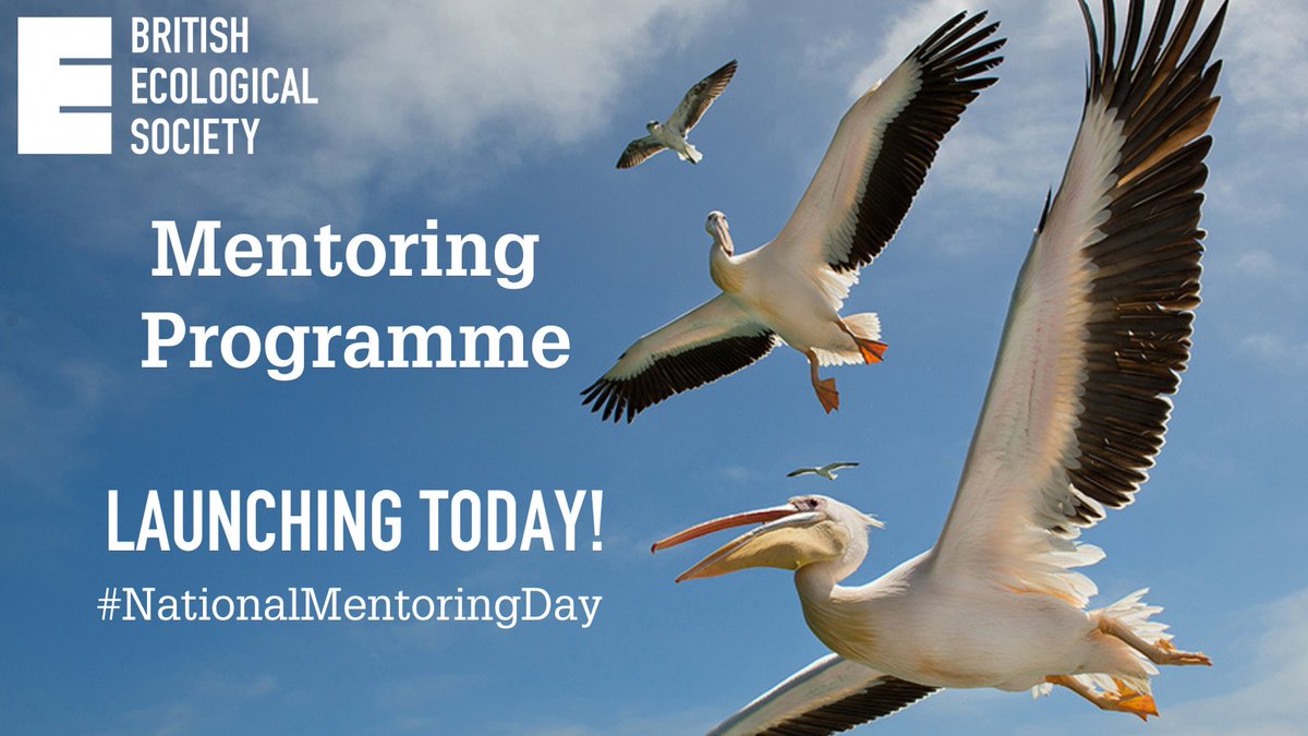 BES_careers's tweet image. 📅Today is #NationalMentoringDay!

To celebrate the wonderful benefits of mentoring, we are proud to announce the full launch of our new Mentoring Platform! 💡

(1/4)