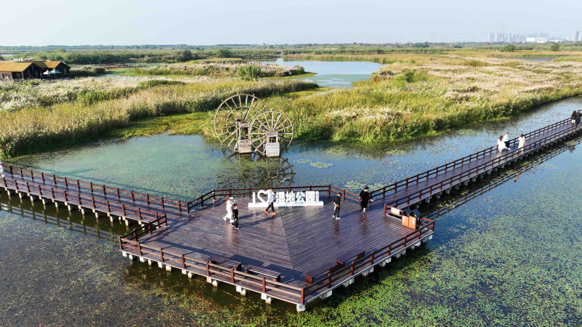 🌾Immerse yourself in nature this autumn at #Ningbo’s Hangzhou Bay National Wetland Park. 🍂🍃 The clusters of reeds that rustle in the gentle breeze will soothe all of your anxiety and stress. 🍁💆 #AutumninNingbo