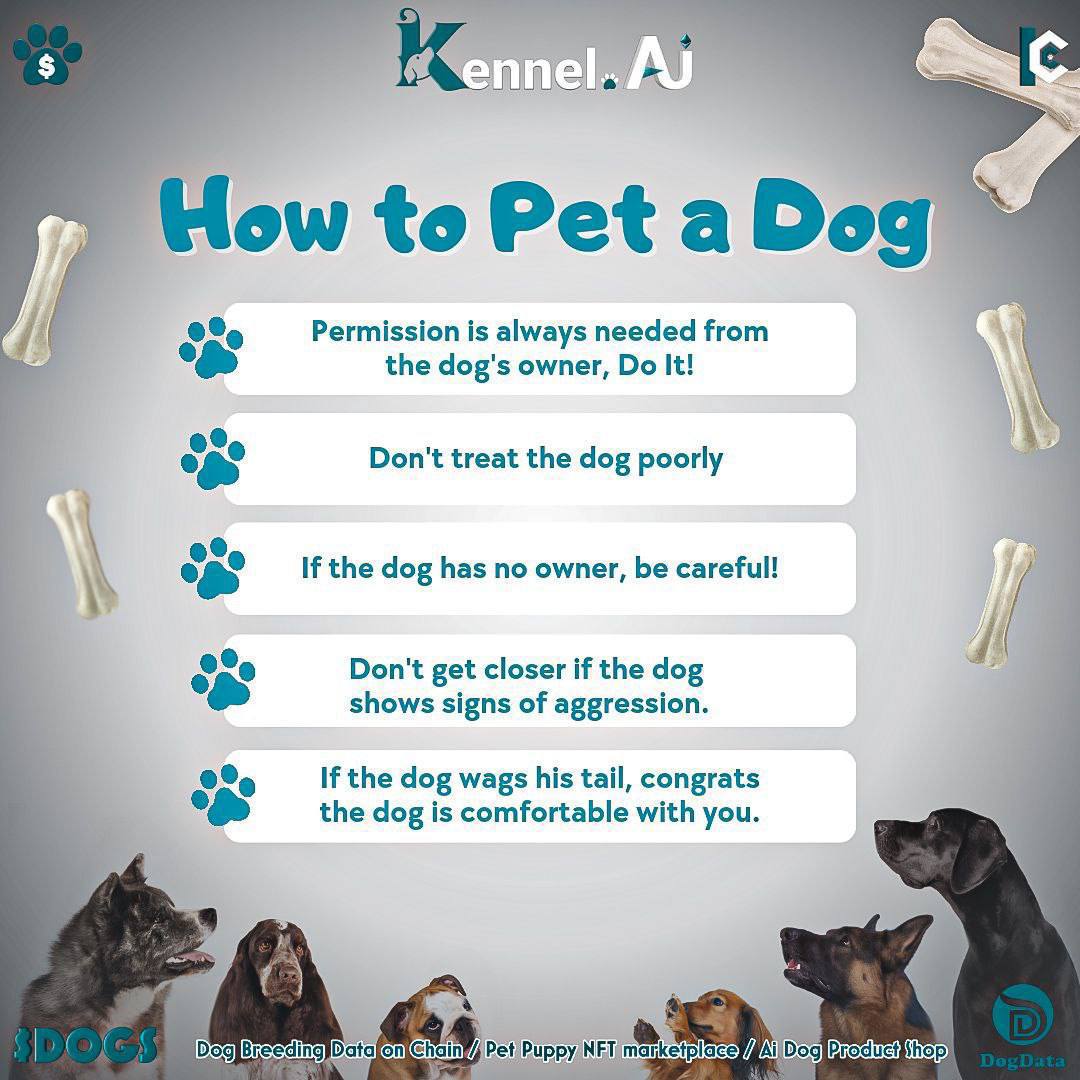 Have a look at the Kennel.ai website blog to learn more about dogs 

kennel.ai/blogs

Also watch our YouTube channel 

youtube.com/@Dogstoken

#doghealth #dogblog #petdogNFT #$DOGS