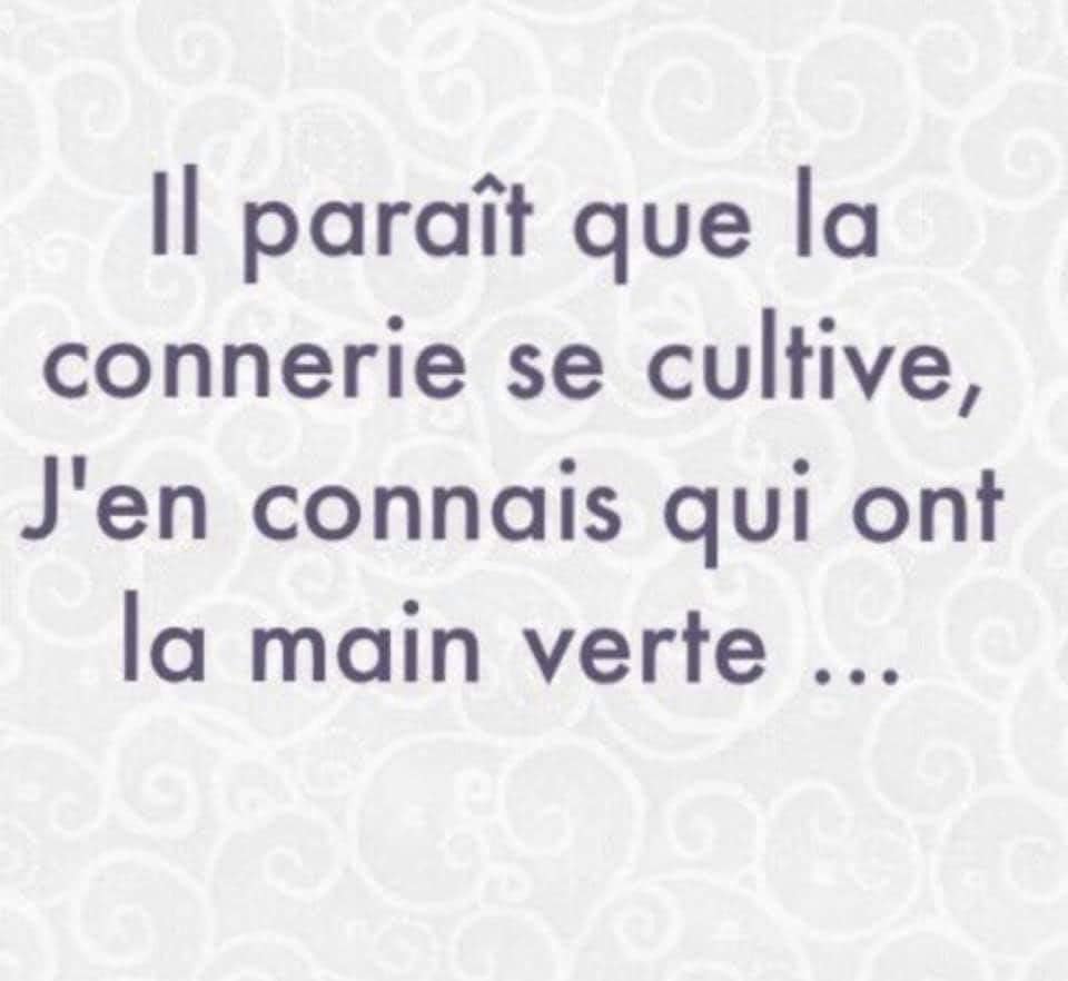 LesEscrolos's tweet photo. Et on les appelle "les escrologistes" ... 🤫
#lesescrologistes #escrologistes #khmersverts #ecologistes #ecologie #mainverte https://t.co/HT0AZQmlpA