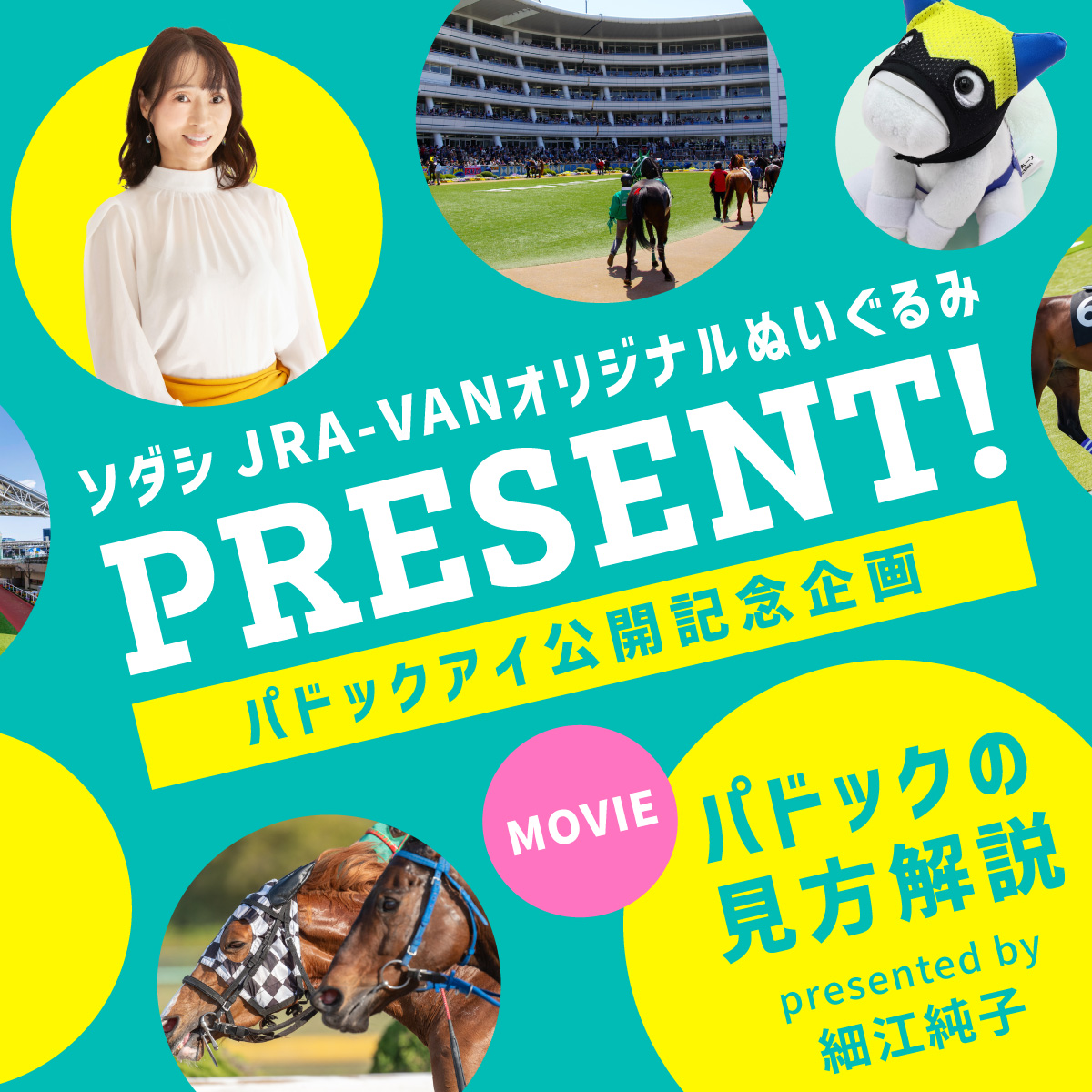 JRA-VAN公式 on X: 