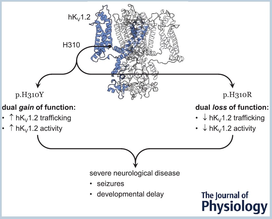 Antonios Pantazis tweet media