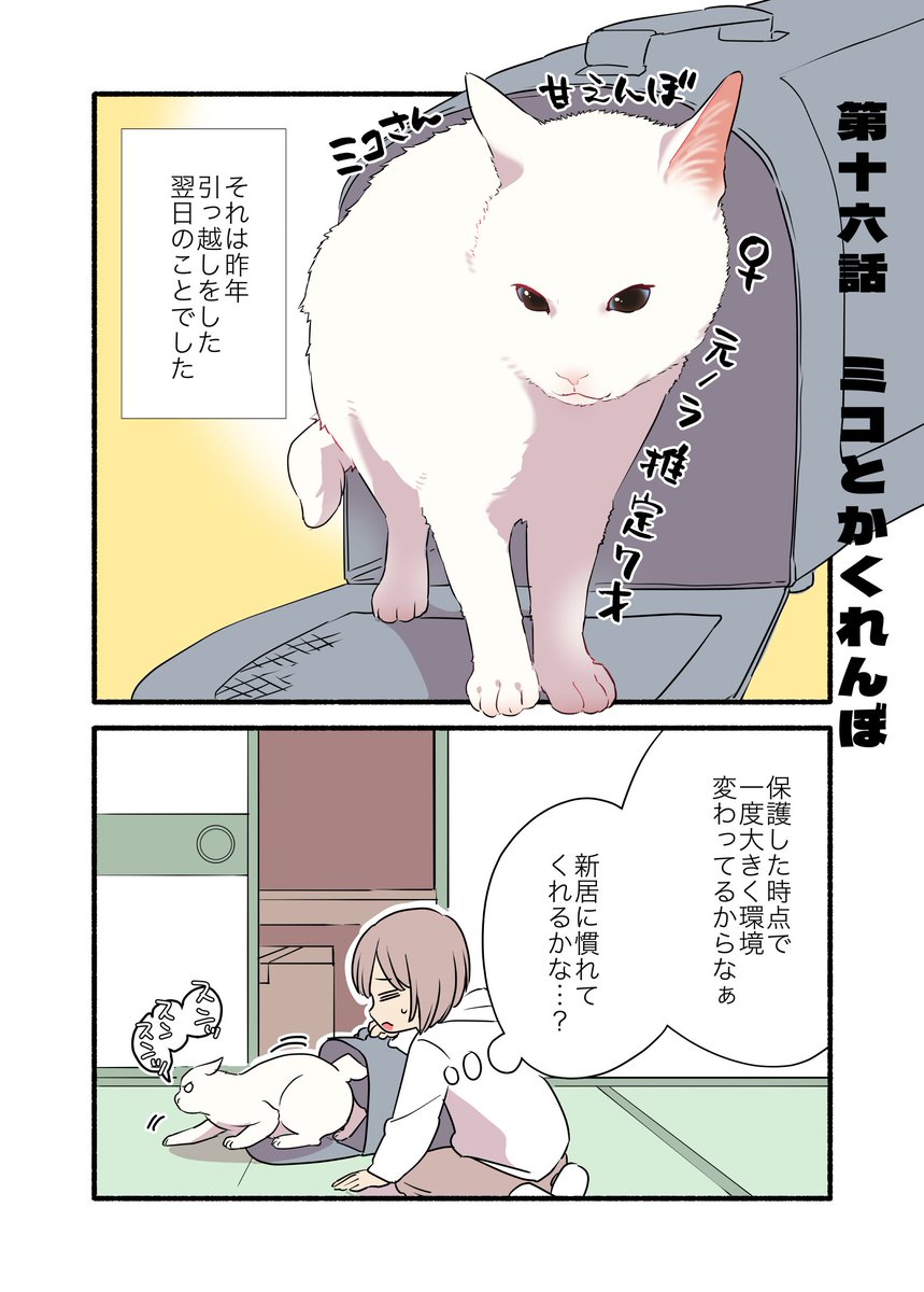 引越し翌日に飼い猫が失踪した話(1/2)再掲
#愛されたがりの白猫ミコさん 
#漫画が読めるハッシュタグ 