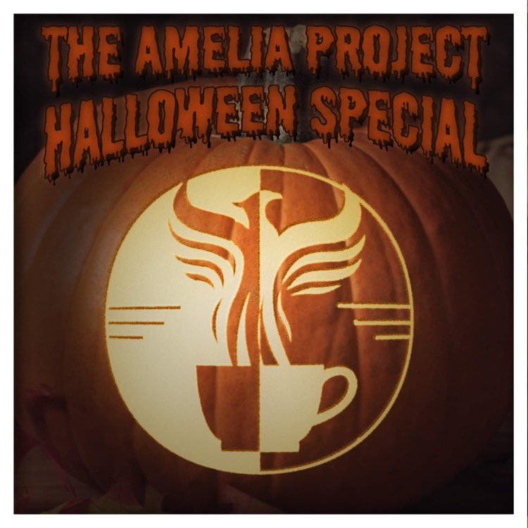 The Amelia Project tweet media