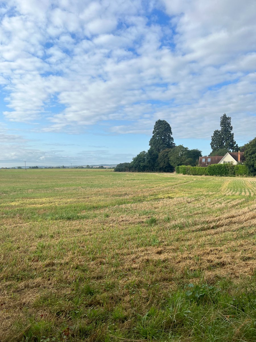 **FOR SALE **

Approximately 14.93 acres in Brightwell-cum-Sotwell. 
Offers in Excess of £450,000.

Please contact: 
Millie Maddox amaddox@simmonsandsons.com 01491 529758 
Thomas Dunn tdunn@simmonsandsons.com 01491 634293

simmonsandsons.com/property/comme…