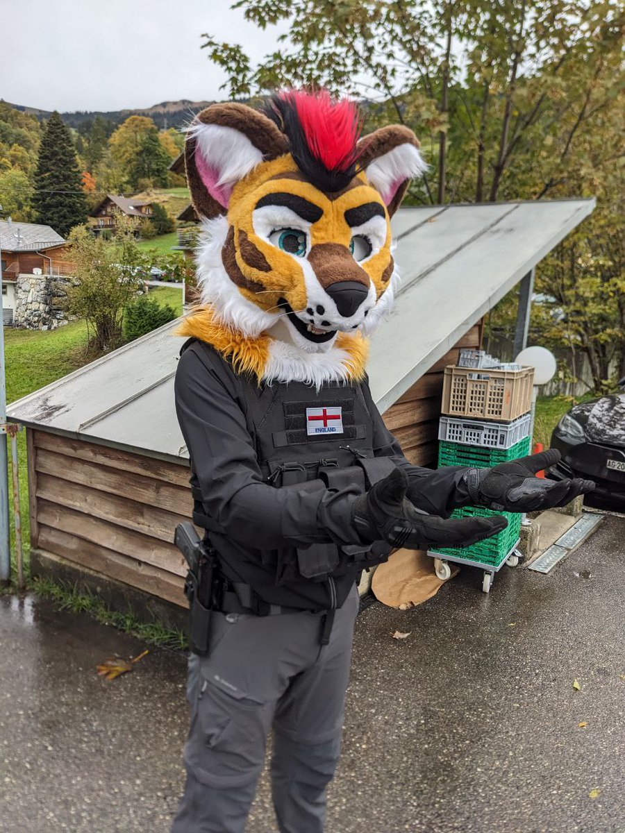 Its #FursuitFriday again! This time i am in the swiss alps! Trying to keep everyone safe! 

<a href="/TheKarelia/">TheKareliaFursuits 🔜 NFC</a>