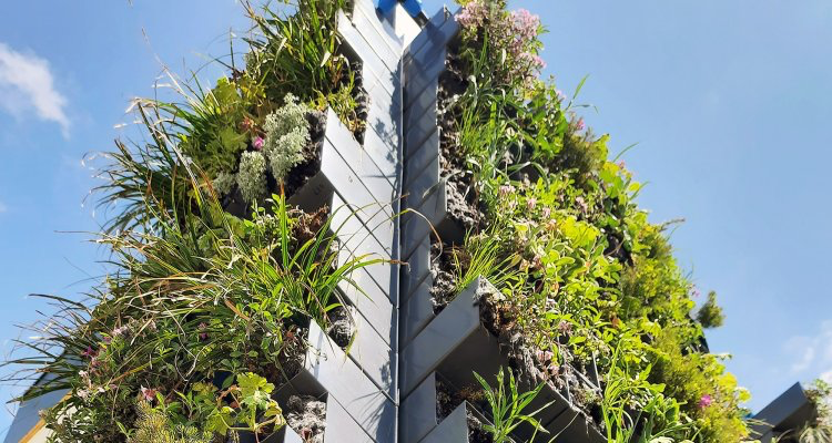 WUR's tweet photo. #DutchDesignWeek 🌿🌱 | WUR again contributes to the Dutch Design Week! One of the designers is PhD candidate Maricruz Solera Jimenez. She designed Plant Pixel, an interesting green wall design. Do you want to know more? Click the link! ➡️ https://t.co/9yMHofHYF5 https://t.co/zjawoHVI6B
