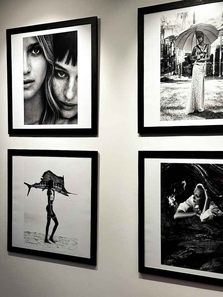 andreavarani.eth tweet media