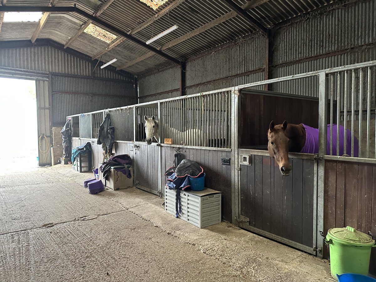 EDG SECURITY LTD tweet media