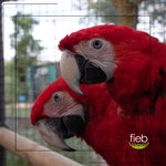 Photo by FIEB Foundation (@FIEBFoundation)