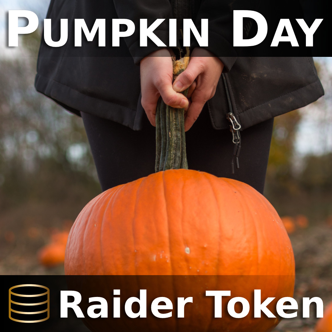 RaiderTokens's tweet photo. 🎃#PumpkinDay - All you need is some cardboard, paint, and a few other supplies to create a festive piñata that will be the hit of the party! #DIY #PumpkinPiñata #PartyFun

https://t.co/YoKrnTcEQG

#NationalPumpkinDay
#RaiderToken https://t.co/zszi2rEMOY