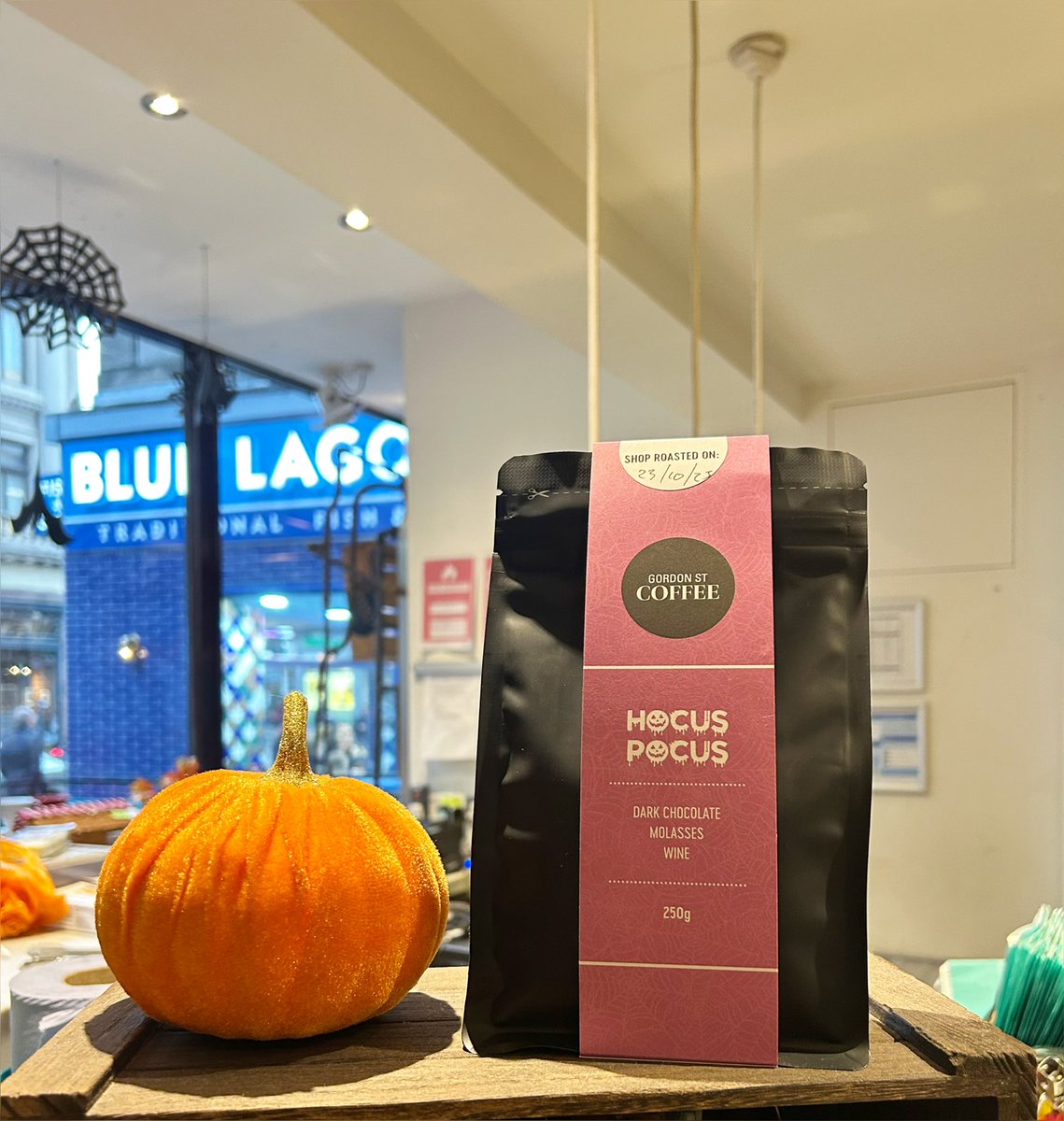 ✨Hocus Pocus…help me focus 👀✨