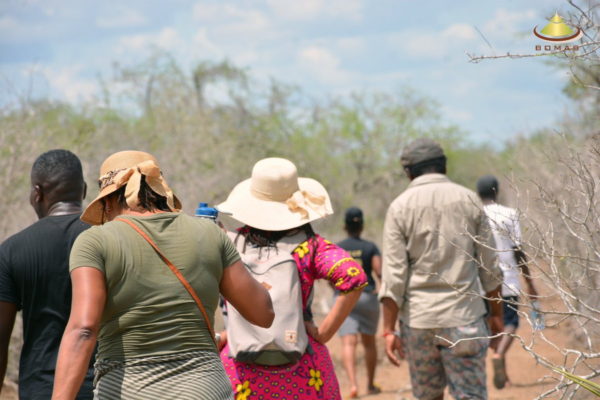 Bomasofkenya's tweet photo. Thrilled to partner with MADCA (Malindi District Cultural Association) for our groundbreaking theatre project! 🎭 Preserving Giriama tradition in an unforgettable way. Stay tuned for a unique cultural experience!
#giriamaculture
#newproject
#madca
#makingkulturekoolagain https://t.co/z94S2Ufxs7